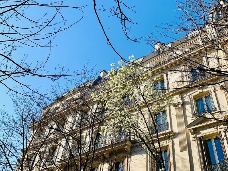Contentieux locatifs et droit immobilier